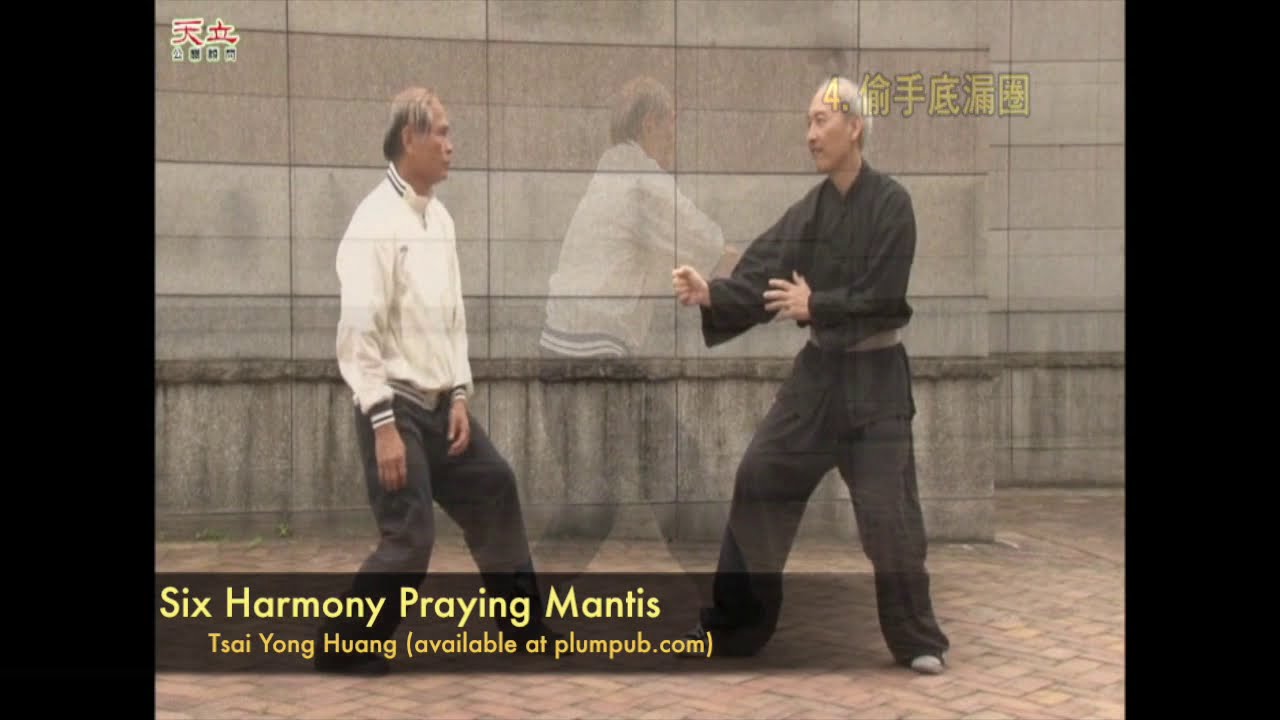 LiuHe Tang Lang (Six Harmony Praying Mantis)