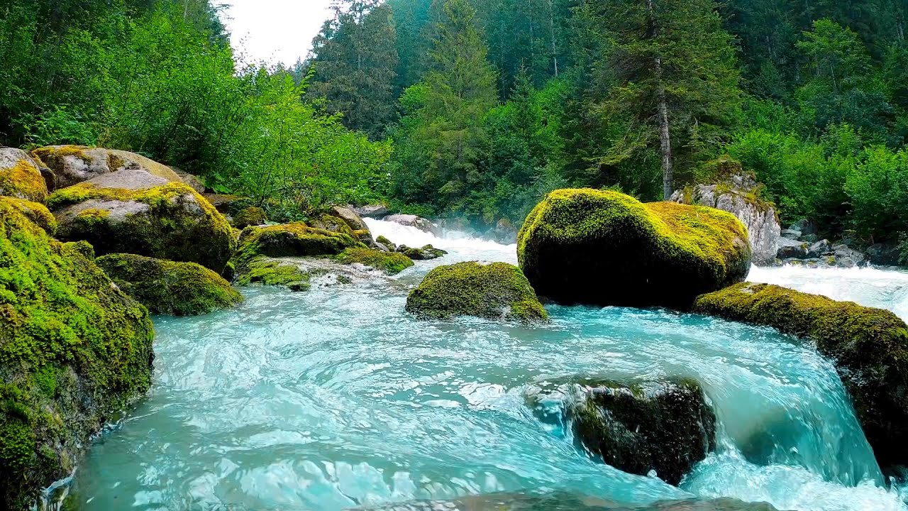 Calm Woodland Stream with Beautiful Birdsong, Relax and Unwind, ASMR