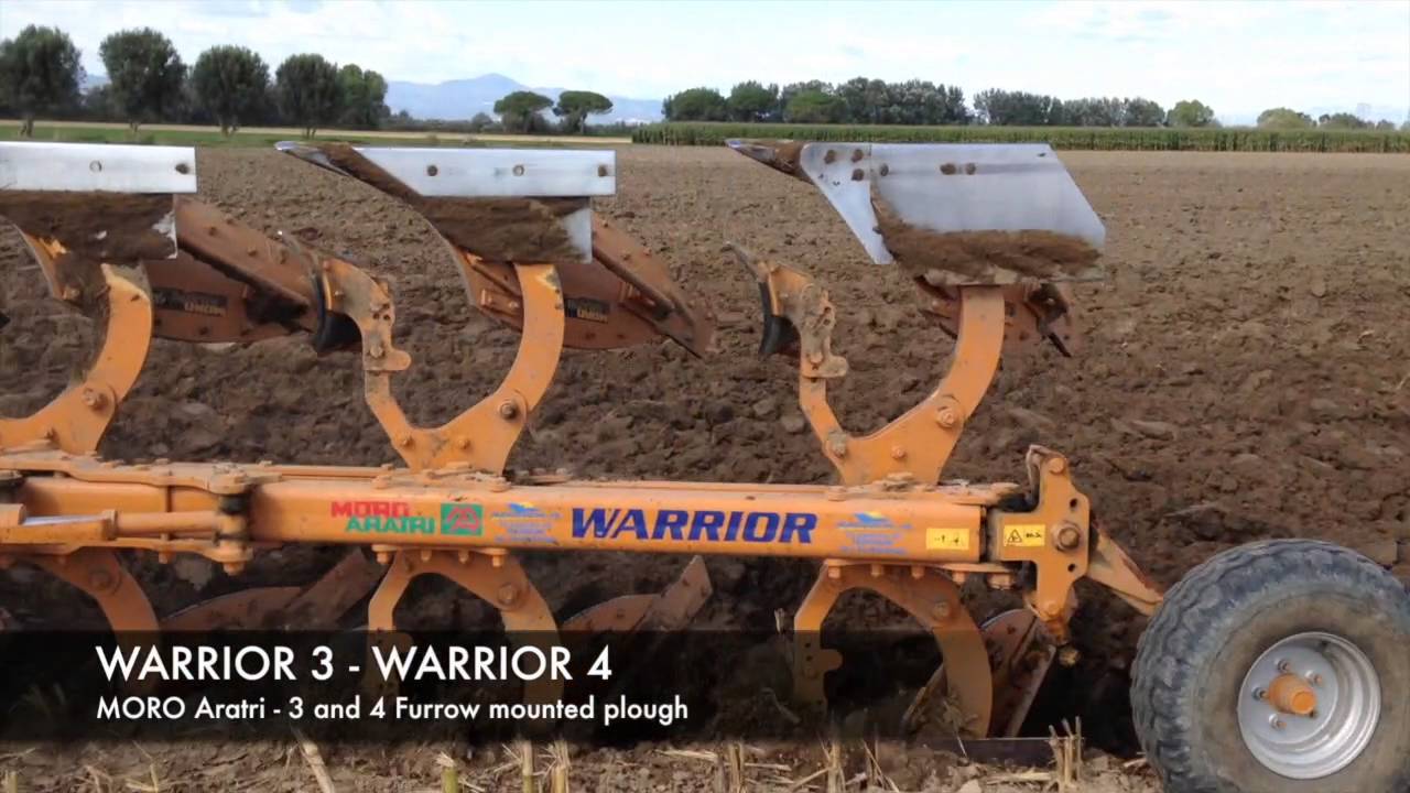 MORO Aratri - Warrior -