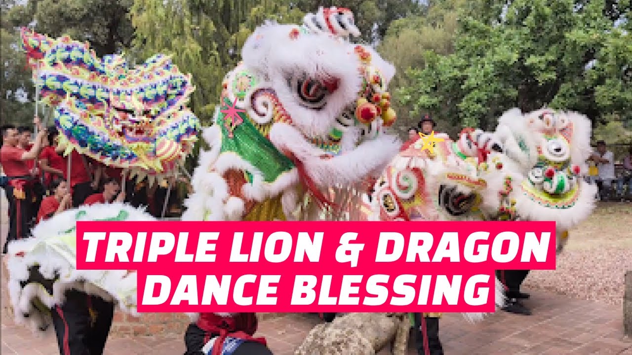 TRIPLE LION & DRAGON Bendigo Joss House Temple Blessing 舞狮