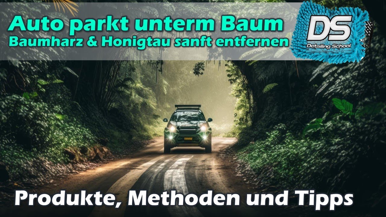 Baumharz, Honigtau und Blütenstaub sanft und schonend für Lack und Versiegelungen entfernen