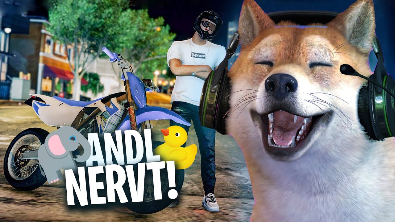 ANDL NERVT NUR HERUM! 🤣 - CSYON Stream Highlights