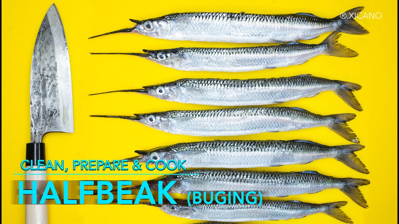 HALFBEAK FISH (Buging) || Clean, Fillet & Cook