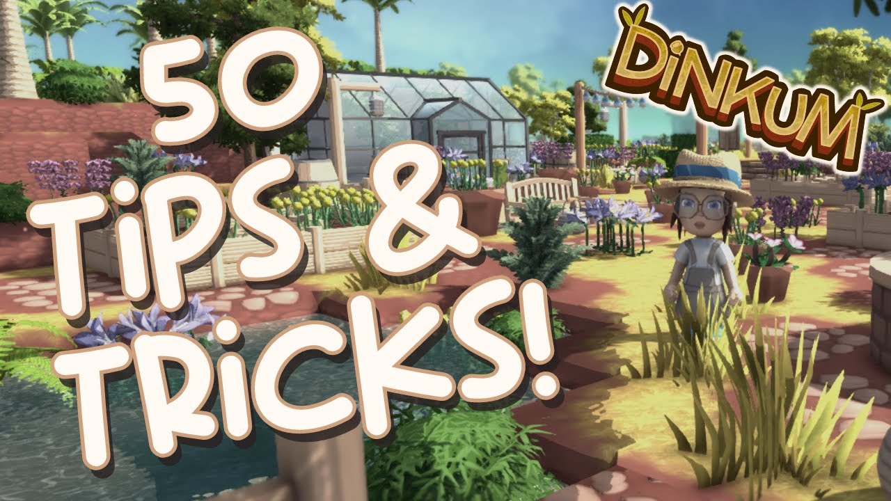 50 things you NEED to know in Dinkum!
