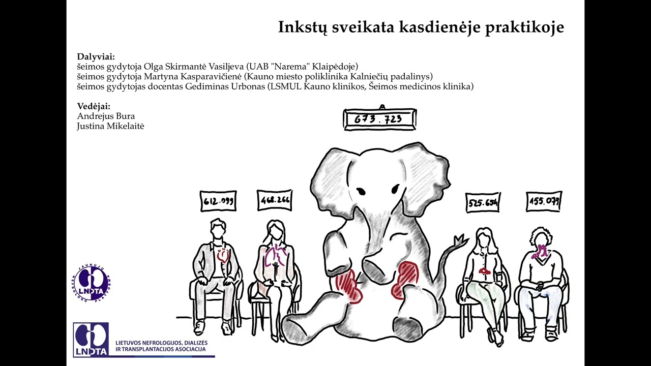Tinklalaidė #6 Inkstų sveikata kasdienėje praktikoje