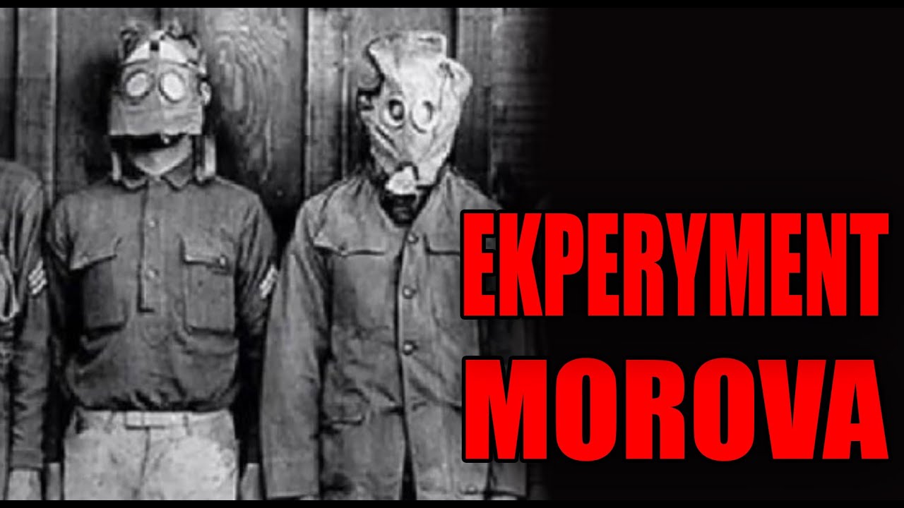 Eksperyment Morova - Creepypasta od widza [LEKTOR PL]