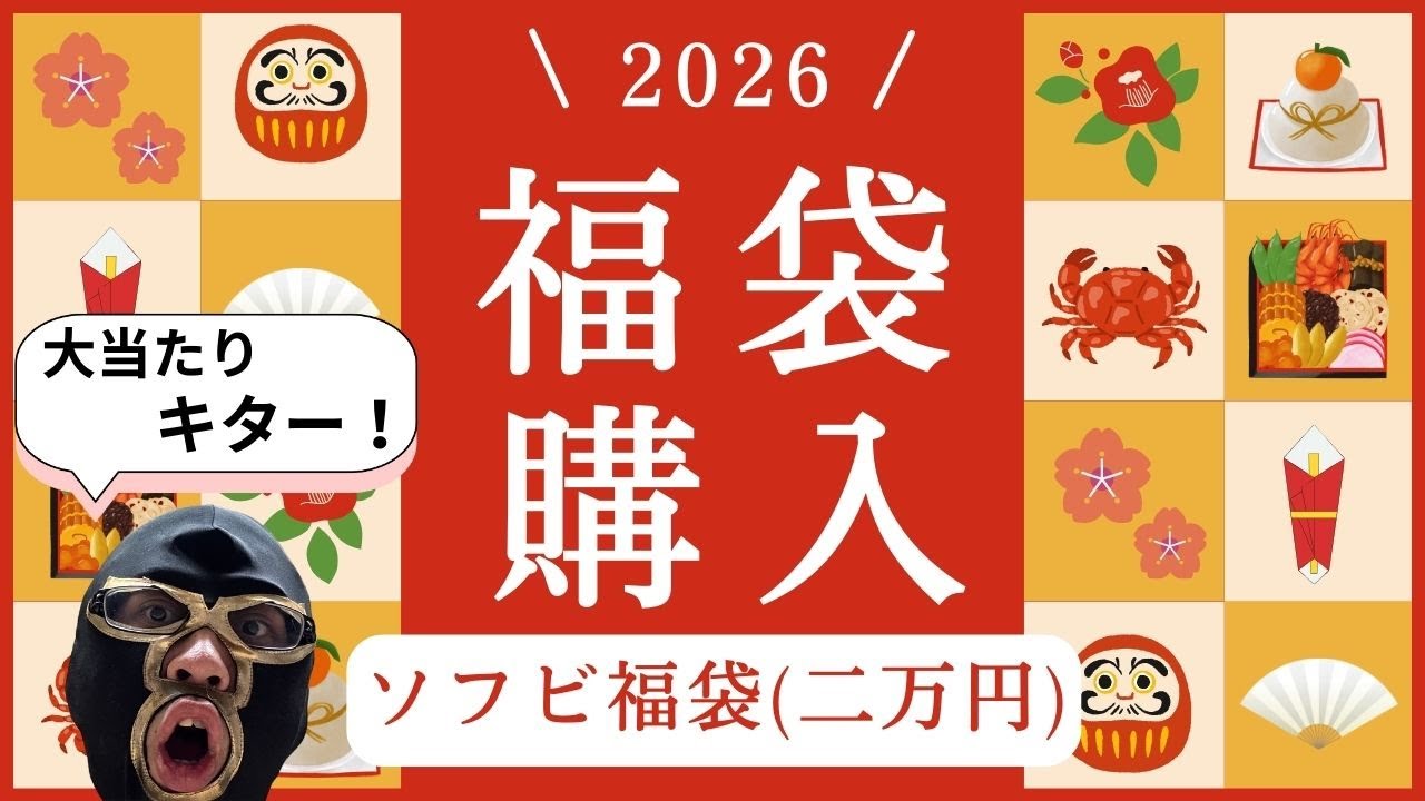 【ソフビ】今日はユーキデイドリーマーさんの福袋「ミステリーボックス¥20,000」を開封するぞ！【大当たり!?】