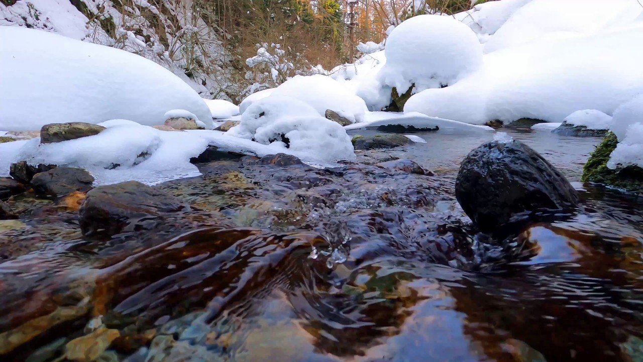 Snowy Forest Creek – Pure Nature Sounds (1:25:00) No Music