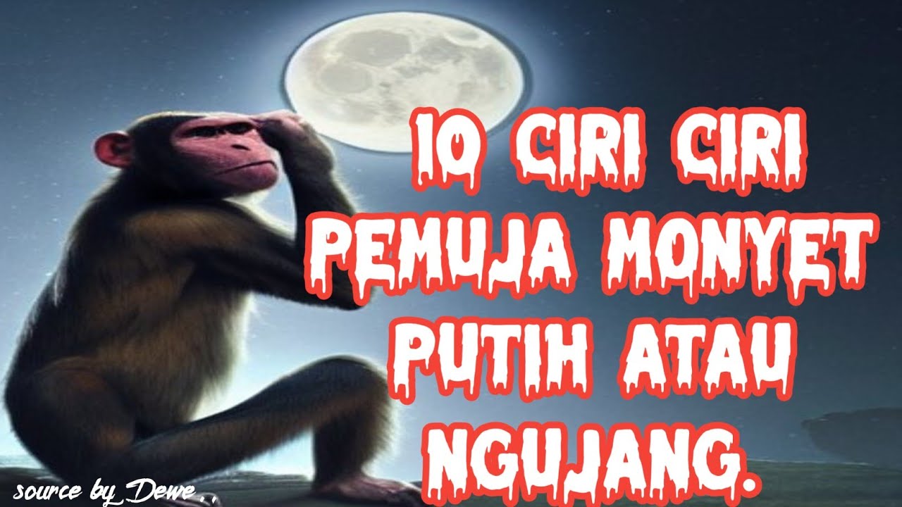 10 ciri orang pemuja monyet putih atau Ngujang.#mitos #pesugihan #perewangankera
