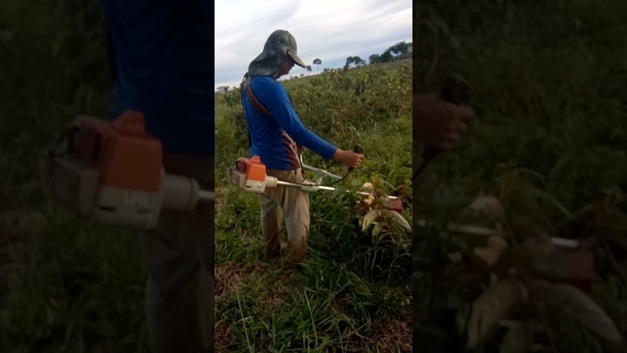 Limpeza no pato roçada