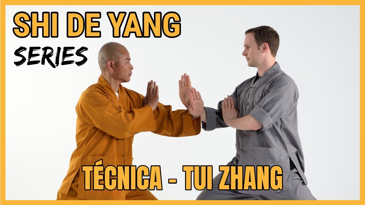 Técnica Tui zhang - Gran Maestro Shi De Yang