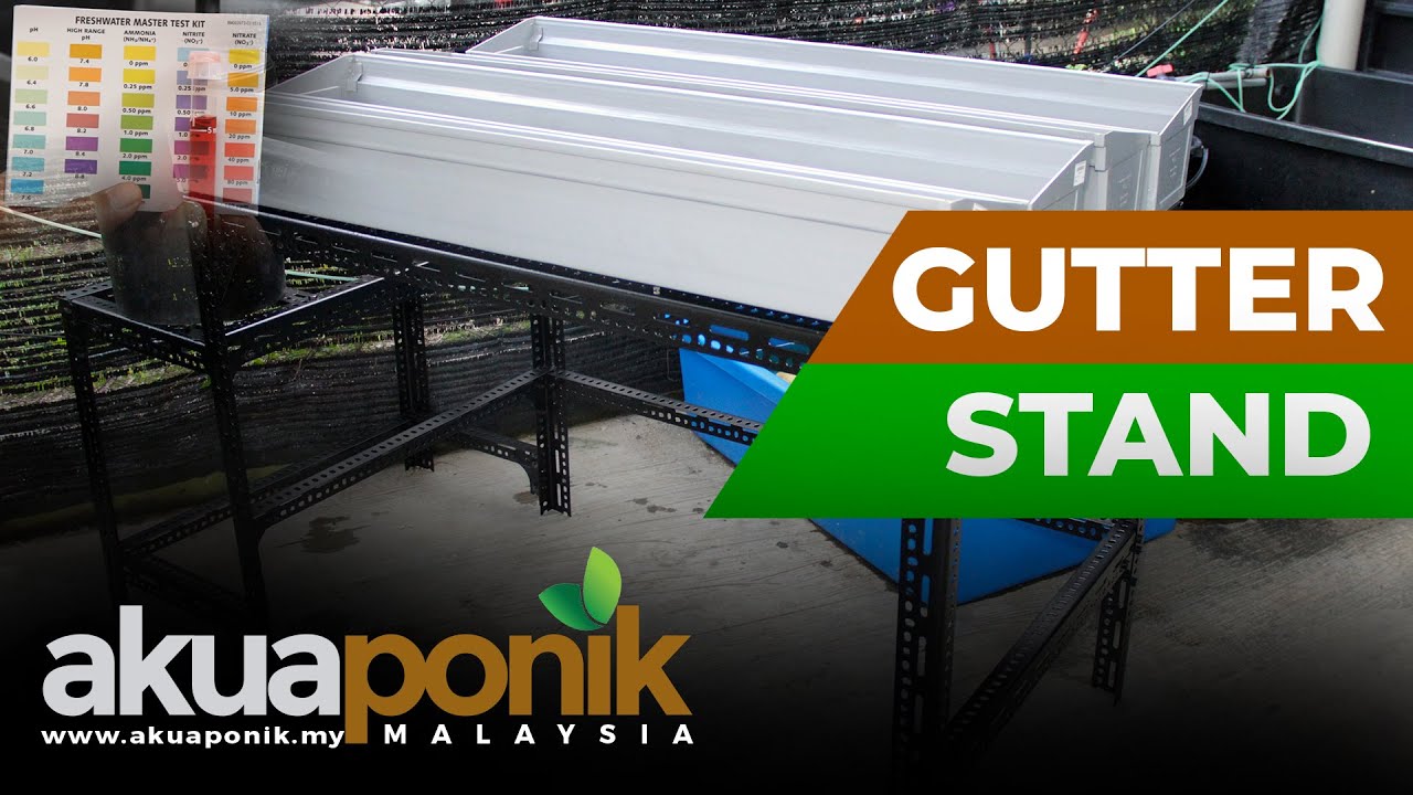 Akuaponik Gutter 04 | Gutter & Filter Stand | Ammonia & Nitrate Selepas Pasang Filter