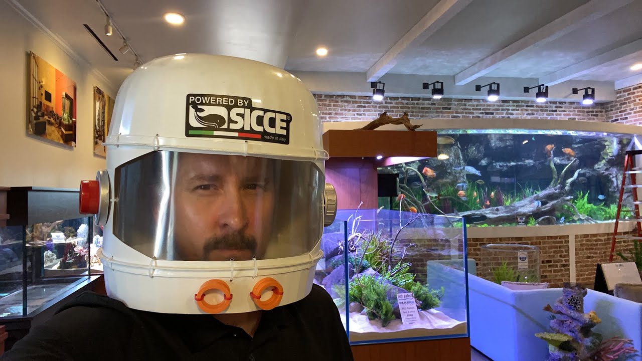 Fish gallery Aquascape - Star Wars