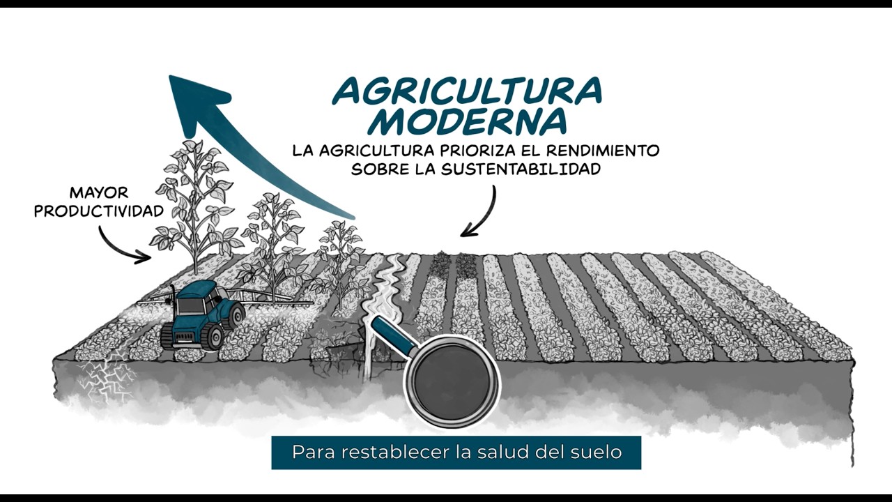 Agricultura moderna, agricultura regenerativa con Acadian Plant Health