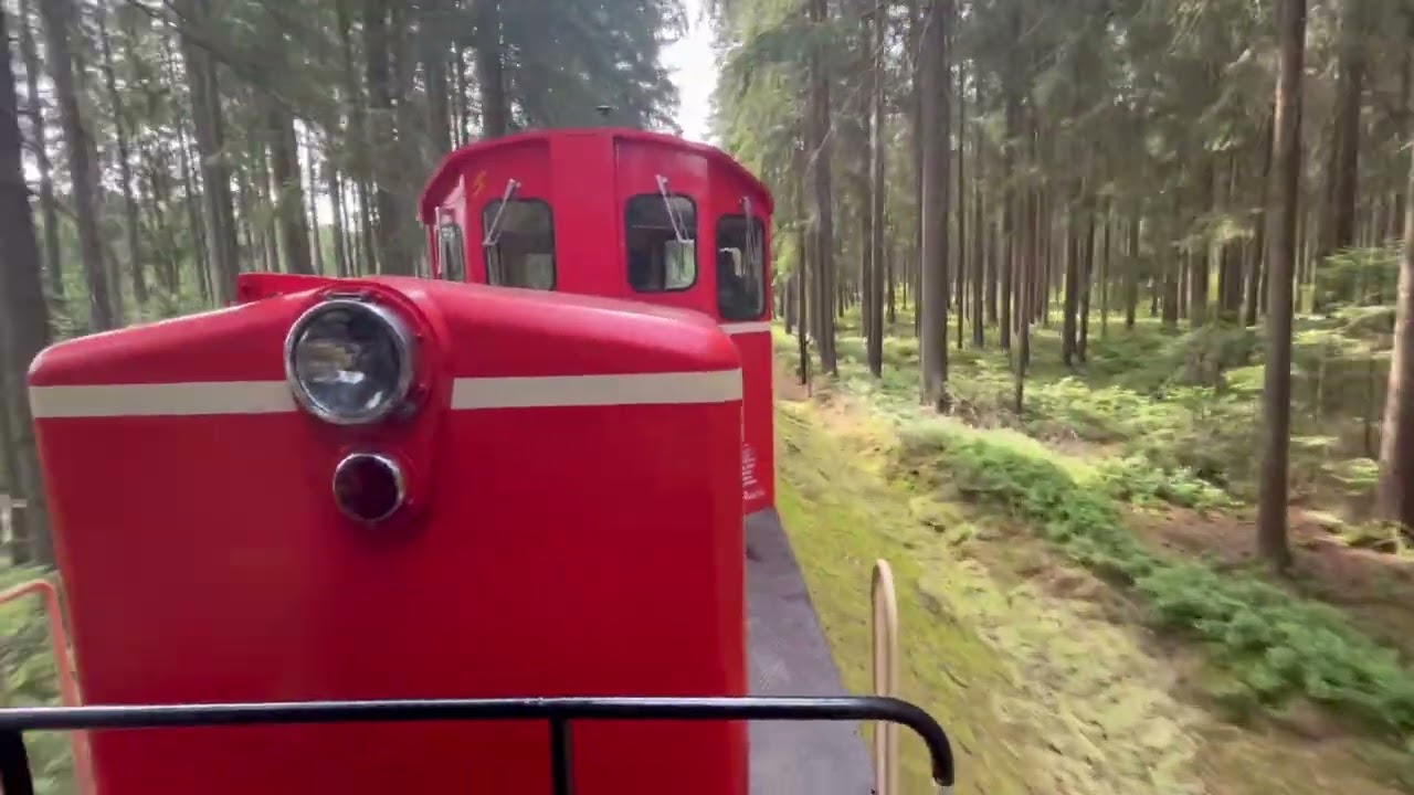 Wackelsteinexpress Juli 2023