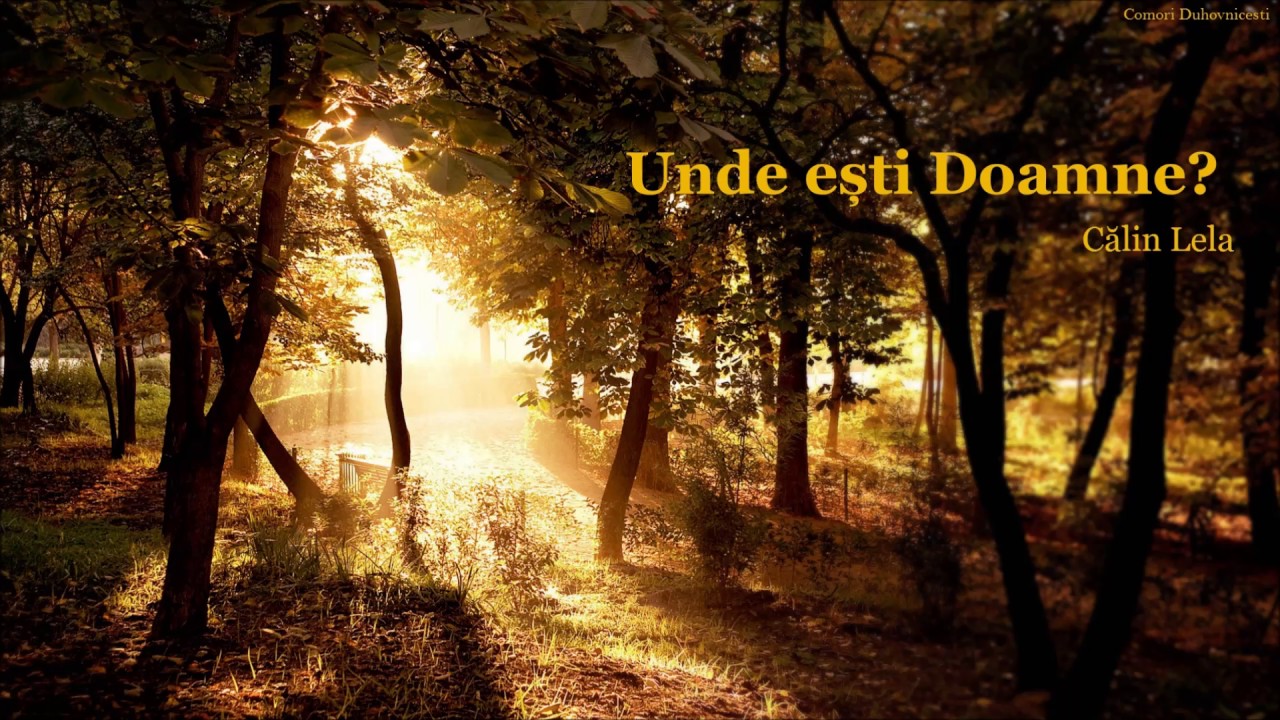 Calin Lela - Unde esti Doamne?