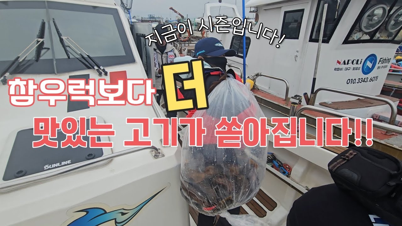 락피쉬가 가~~장 잘 먹는 채비!! 그냥 싹 다 공개할게요. SLJ는 지금부터 시작입니다.