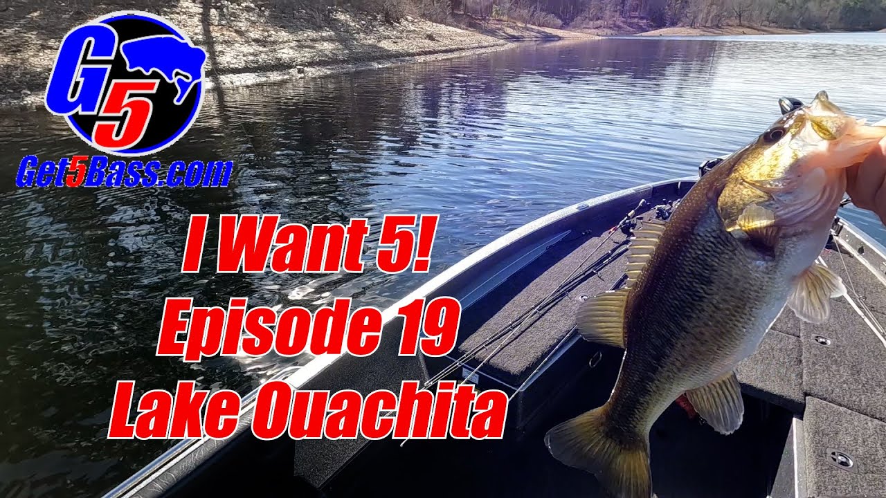 Lake Ouachita Bass Fishing - I Want 5! #arkansasbassfishing #bassfishing #nekorig
