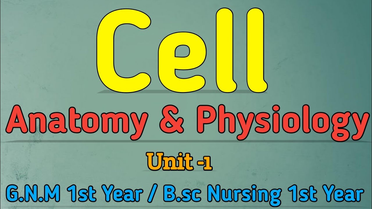 Cell || Cell Anatomy and Physiology || Anatomy & Physiology for Nursing Students