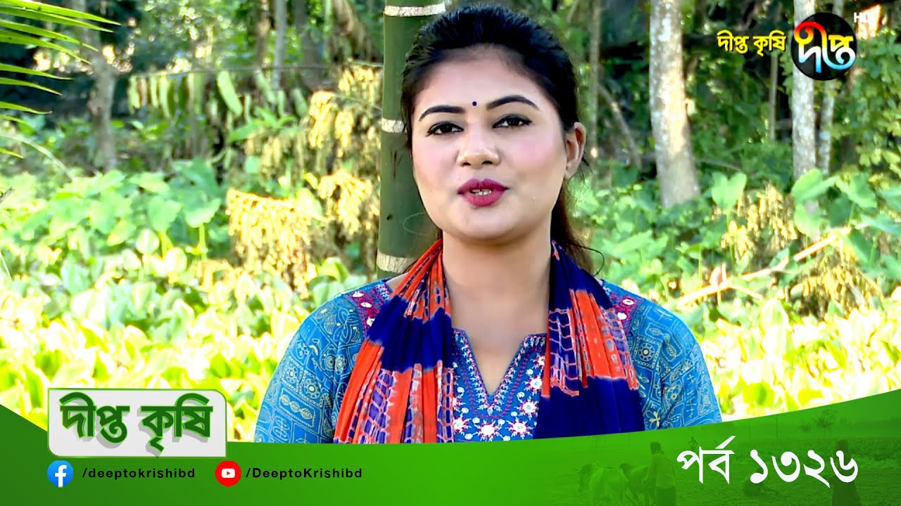 DEEPTO KRISHI || কচুরিপানা দিয়ে কাগজ তৈরির অবিশ্বাস্য পদ্ধতি! || Deepto TV