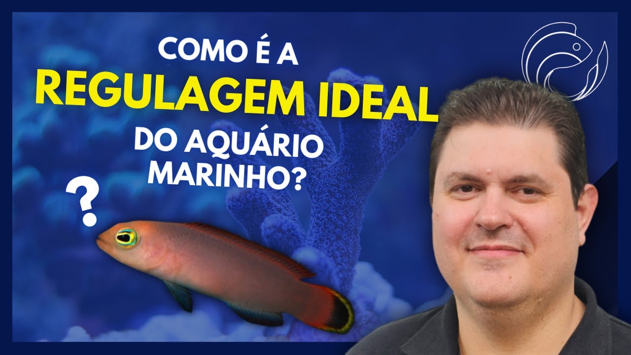 COMO É A REGULAGEM IDEAL DO SKIMMER NO AQUÁRIO MARINHO?