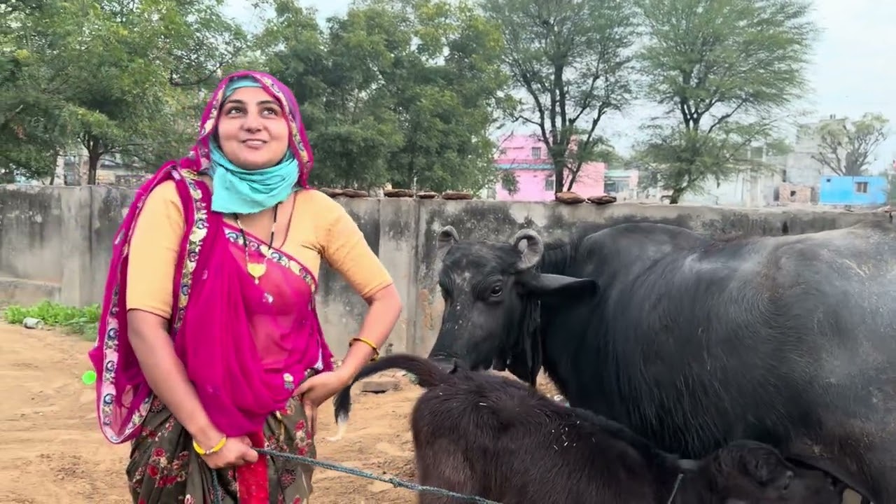 घर आज हो गया अचानक से खाली 😔 सबकी बहुत याद आ रही है 😽कितना मुश्किल है ये सब //ख़ुशी रही थोड़ी देर की