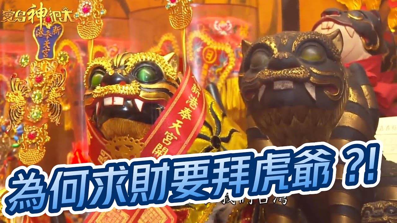 虎爺為何是財神？玉山山頂都有虎爺公的身影?!｜寶島神很大online