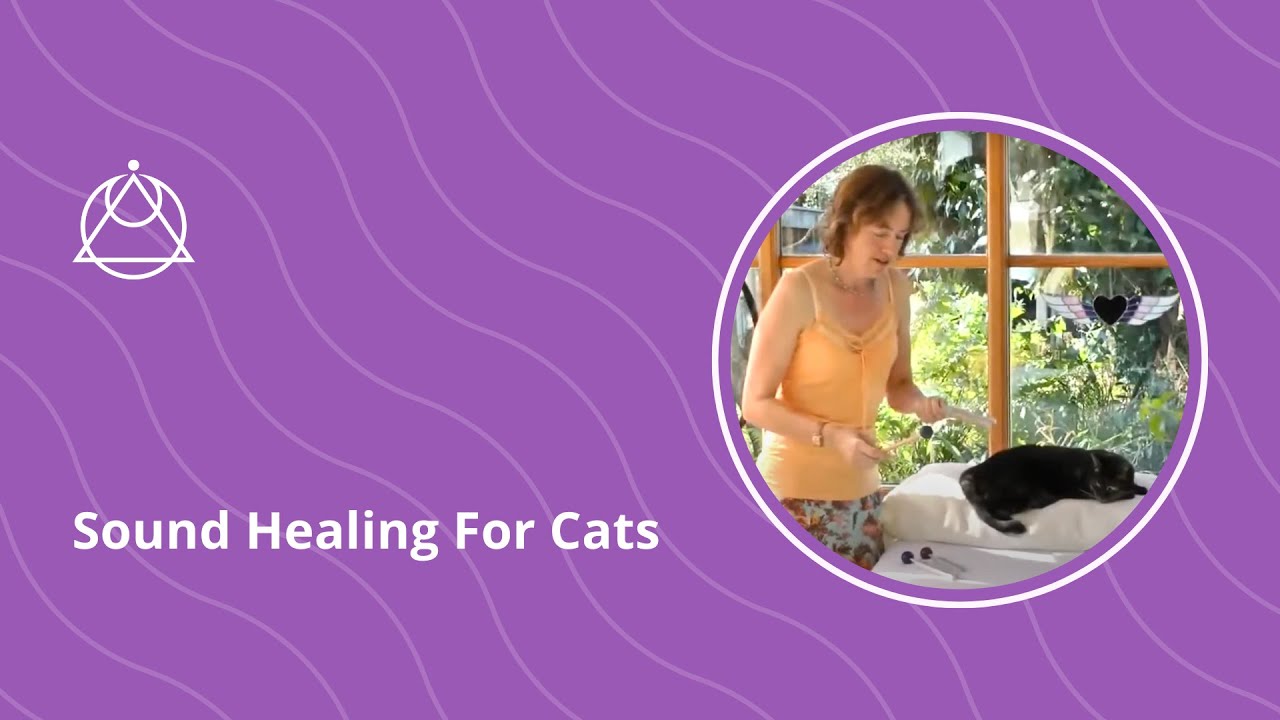Sound Healing For Cats