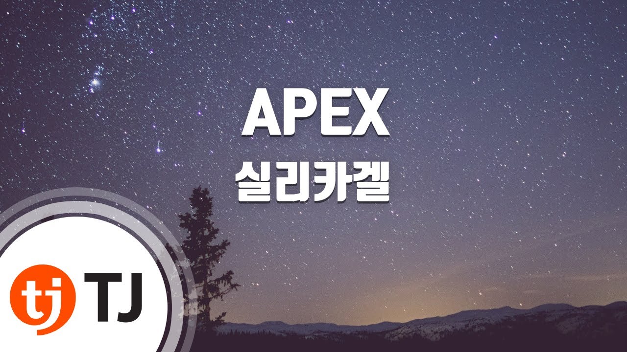 [TJ노래방] APEX - 실리카겔 / TJ Karaoke