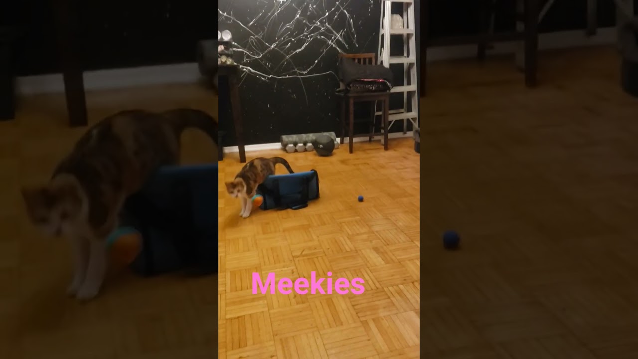 goalie practice
