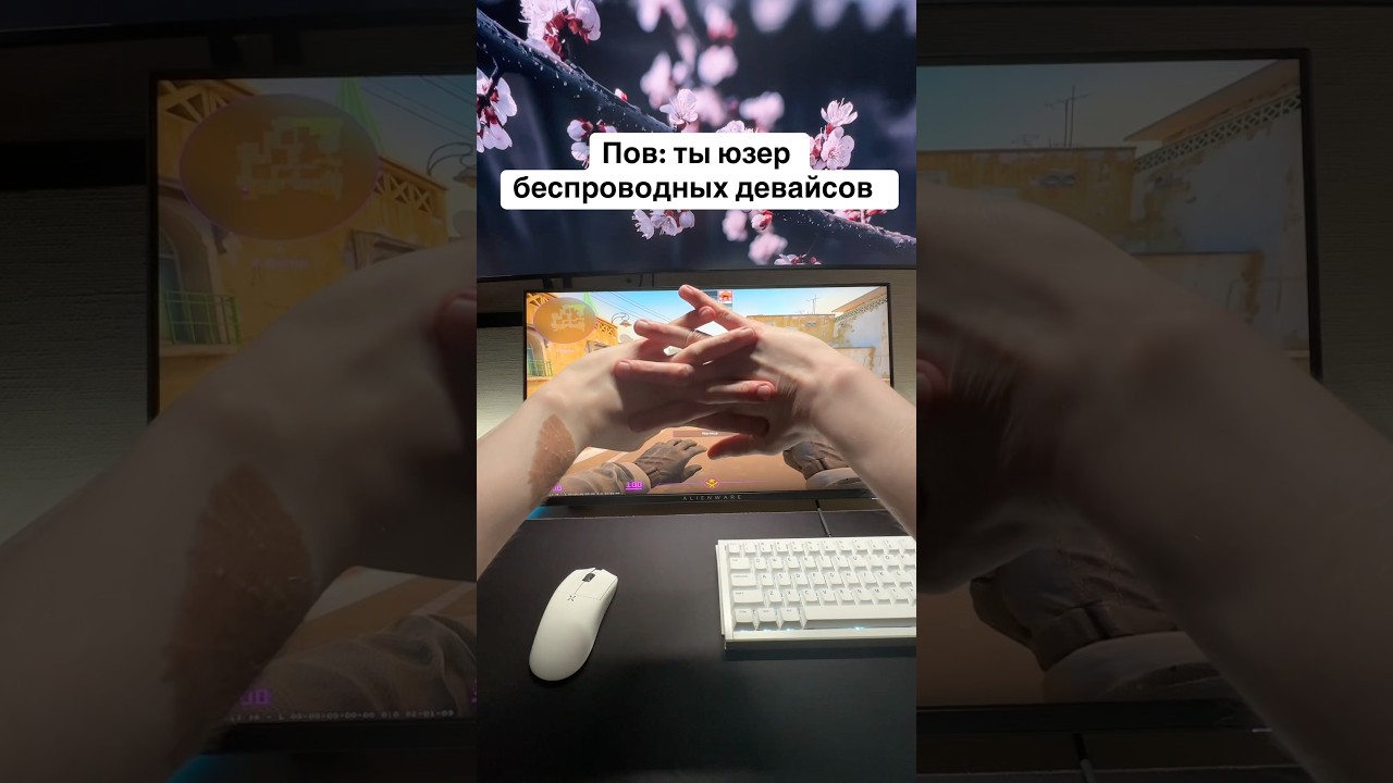 Пов: Ты юзер беспроводных девайсов #пк #компьютер #комп #девайсы