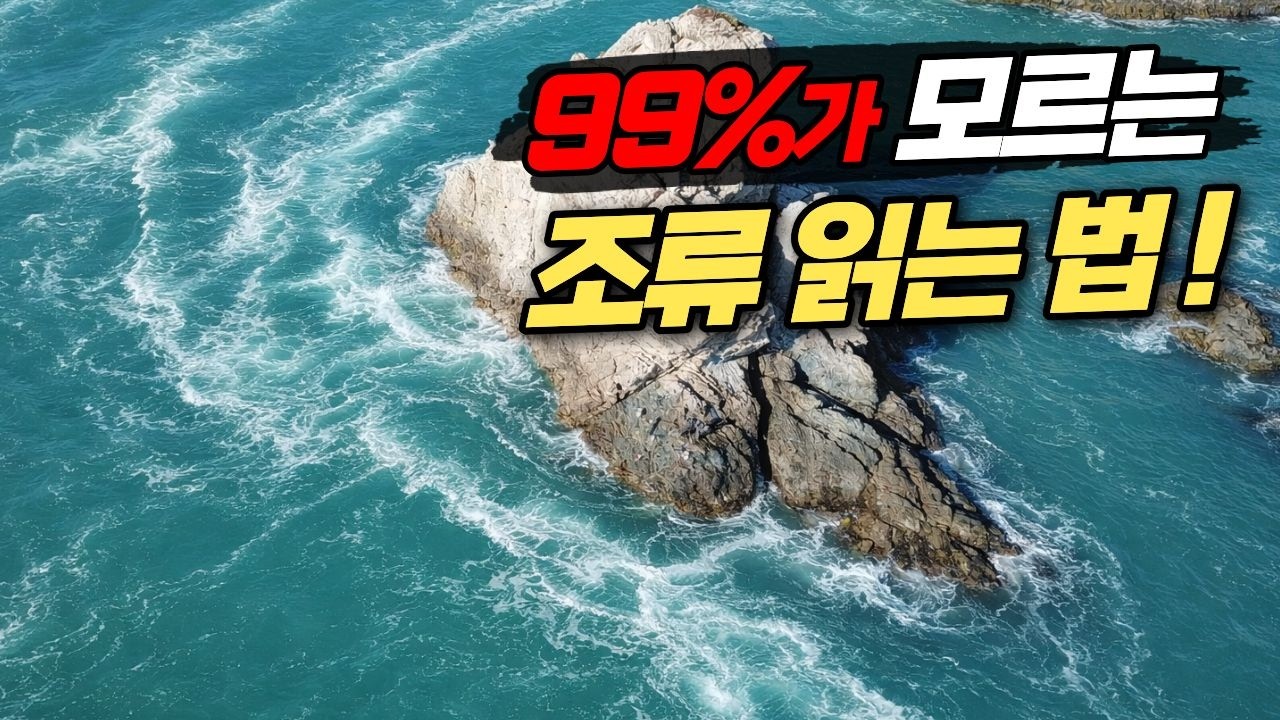 본류 조류!  이런 설명은 없었다