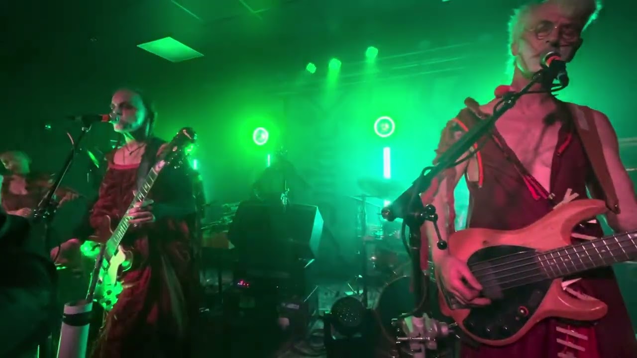Sleepytime Gorilla Museum -  Sleep is Wrong LIVE in Arcata, CA 2/29/24