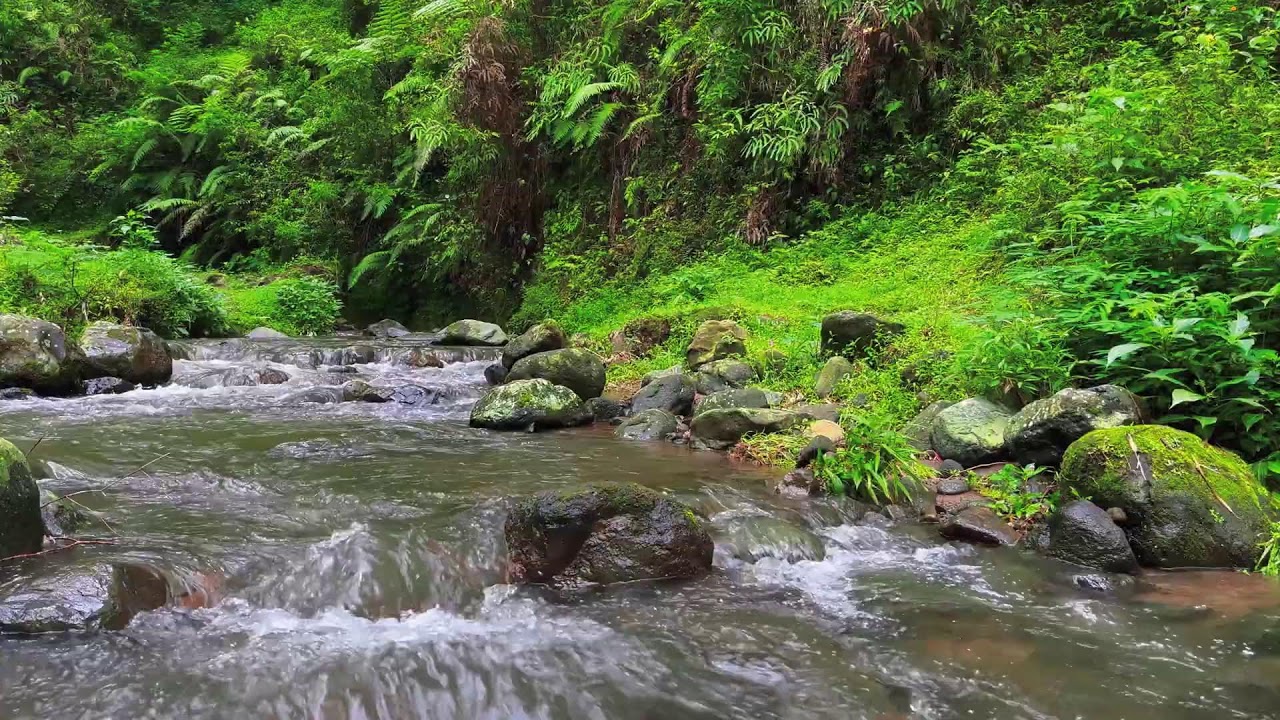 Shallow River Flow – Soothing Nature Sounds for Meditation