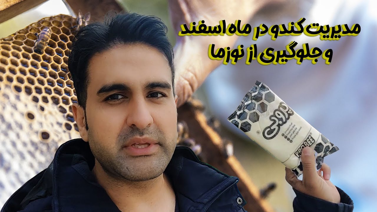 بازدید کندو درآخر بهمن و اول اسفند قبل از تخم ریزی کندو ملکه زنبور و جلوگیری از نوزما