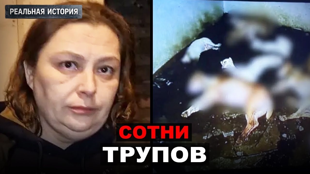 Она 