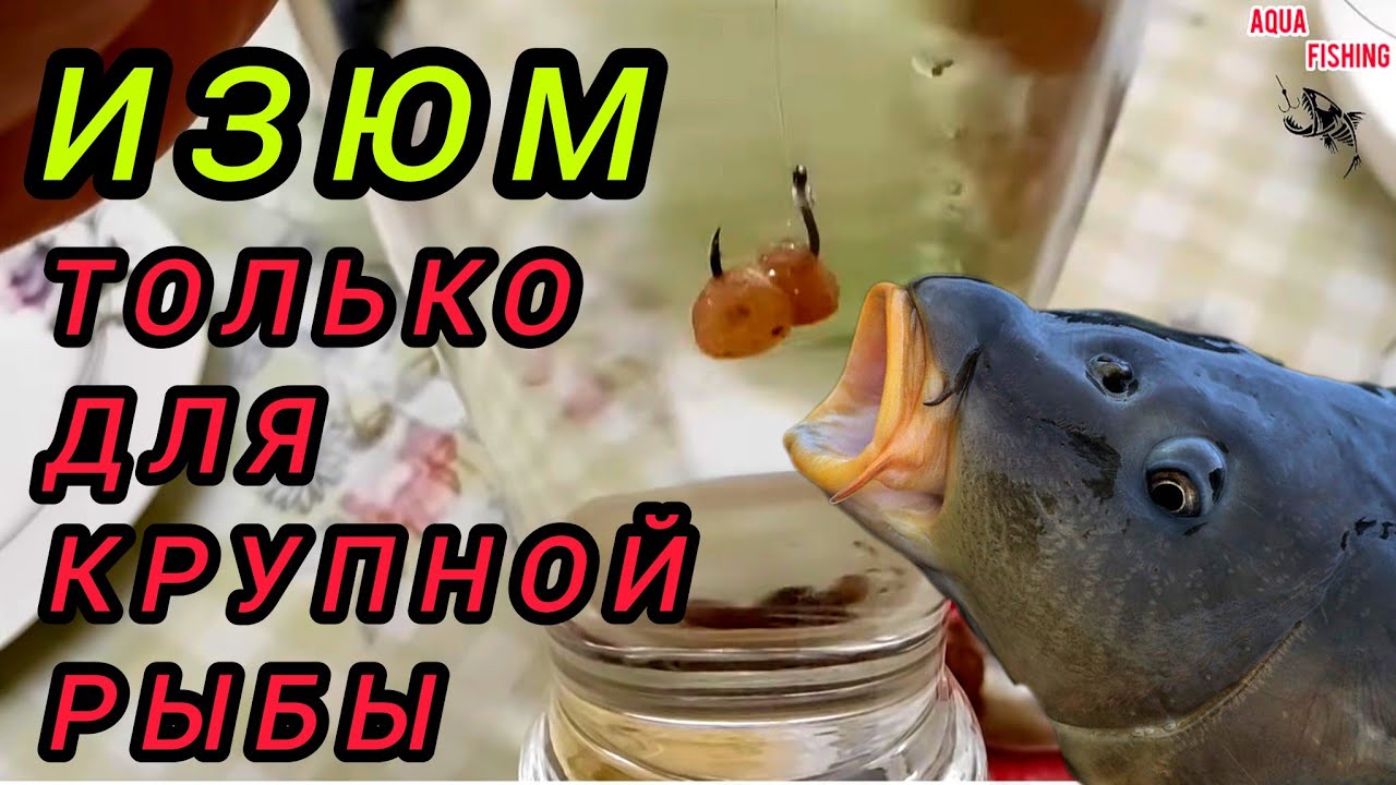 ИЗЮМ только для крупной рыбы! НАСАДКА ИЗЮМ на Карася,харпа и Плотву!
