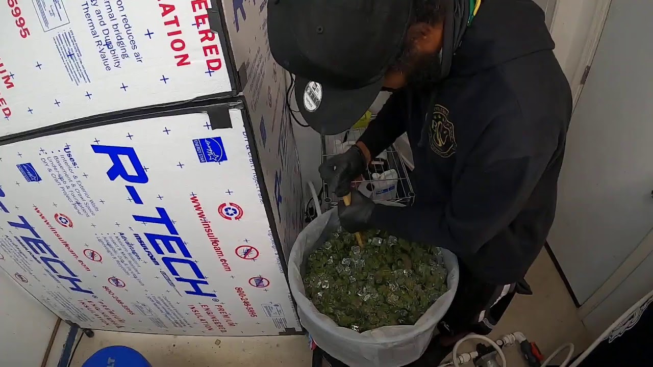 Single Source Ice Cream Cake Nug Run Bubble Hash
