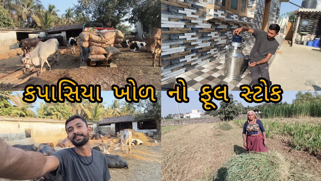 કપાસિયા ખોળ નો ભાવ આસમાને પોગવાનો 😱😱