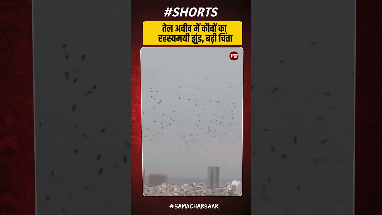 Tel Aviv Mystery | Thousands of Crows Signal Danger?