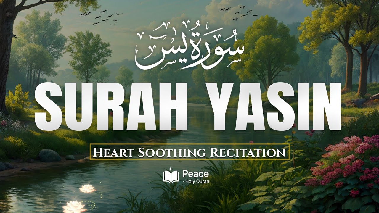 Surah Yasin (سورة يس) | Relaxing Quran Recitation for Peace of Heart & Soul | Peace Holy Quran 
