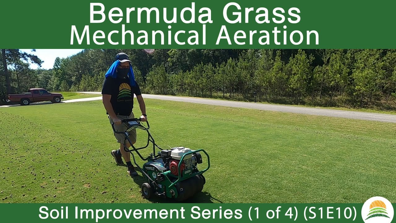 Manual Aeration - Bermuda Grass Soil Improvement Series: 1 of 4 (S1E10)