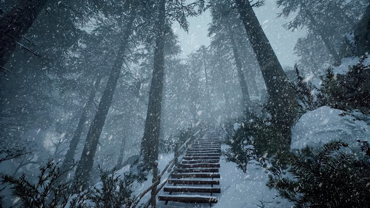 3 Hours of Cozy Winter Ambience ❄️ Heavy Snowfall Sounds in a Foggy Pine Forest, No Music