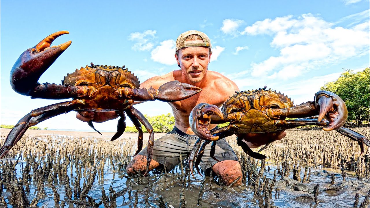 GIANT CRAB HUNT & Spearfishing WRECKS For Food