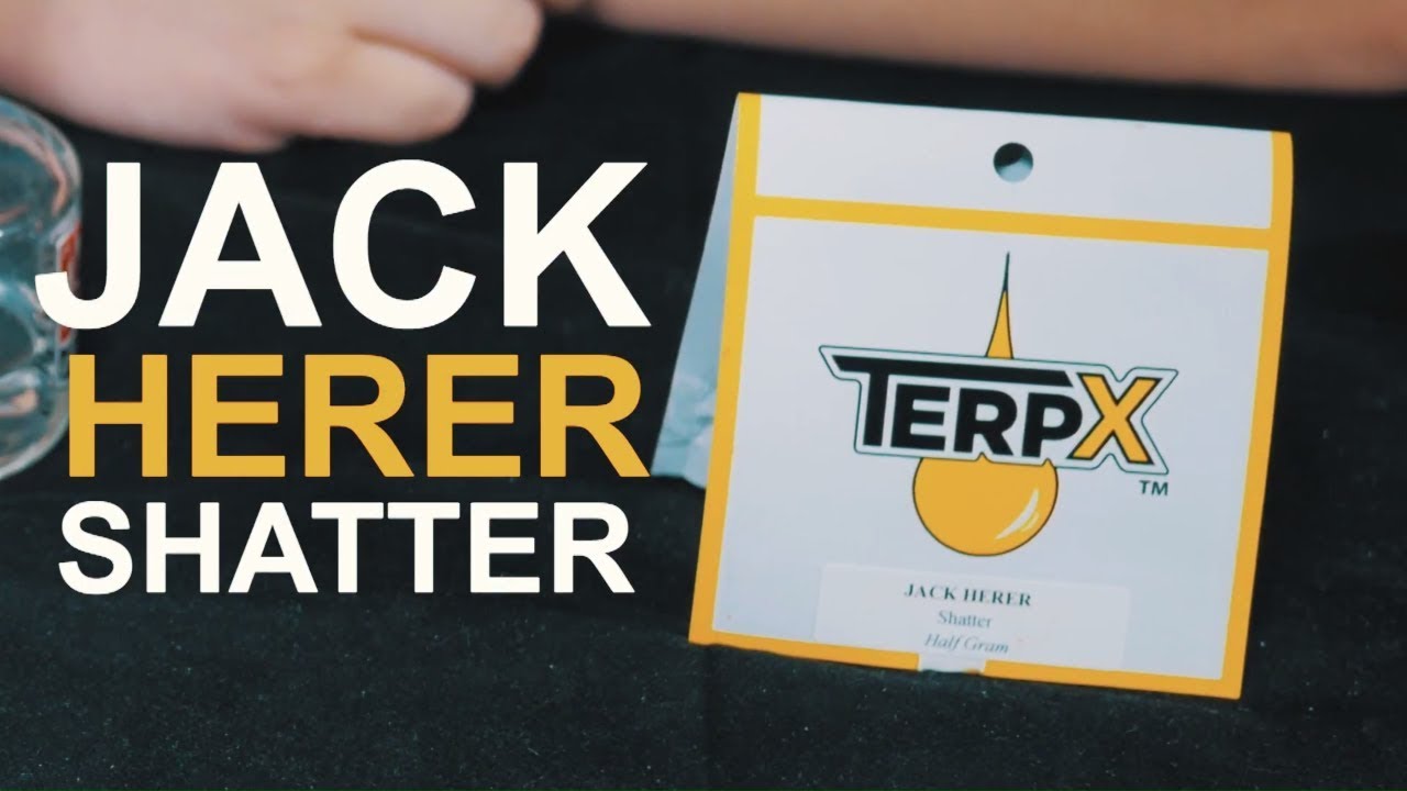 Strain Review: TerpX - Jack Herer Shatter 🔥 #weedtube