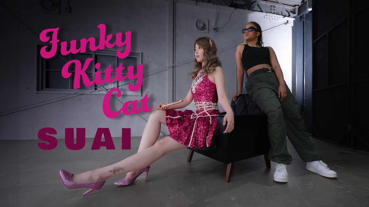 Funky Kitty Cat