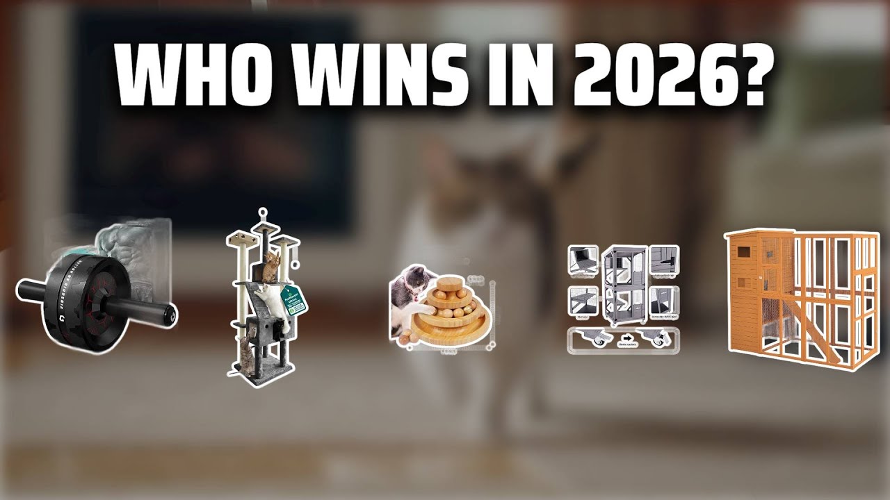 The Top 5 Best Cat Wheel Exerciser in 2026 - Must Watch Before Buying!
