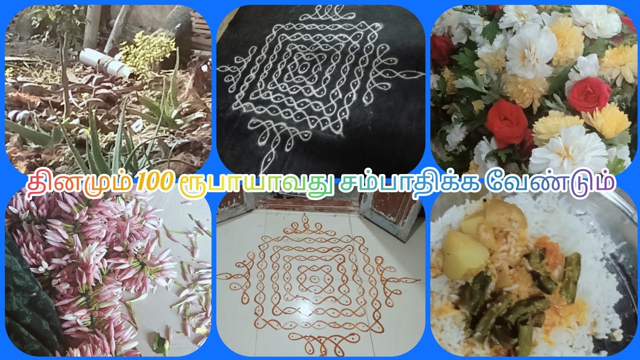 தினமும் 100 ரூபாய் ஆவது நாம் சம்பாதிக்க வேண்டும்/  Nandhinikolangal 🏡🎶♥️👍