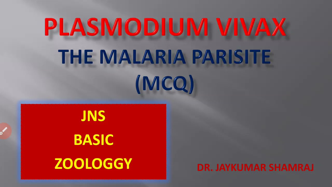 Plasmodium vivax MCQs    (part I)