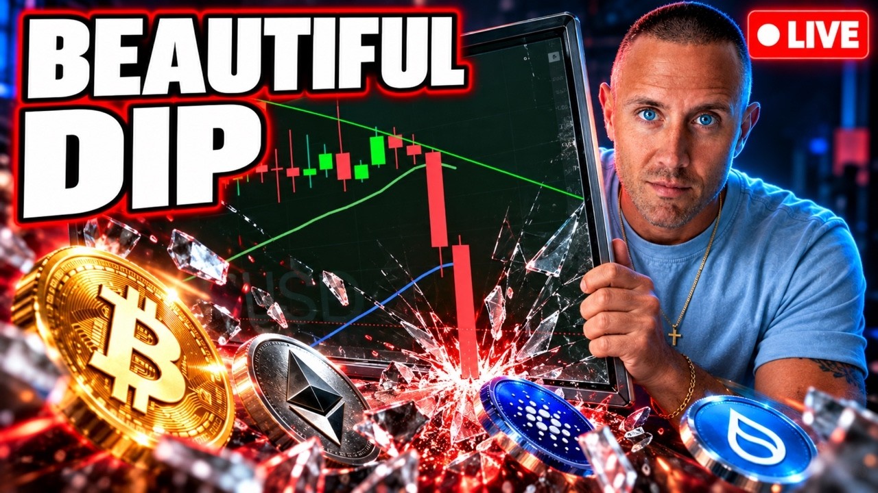 CRYPTO Is Crashing! (THIS Is What Bull Markets Are Made Of)